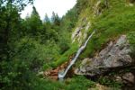 2014-07-05_Laengental-N-Hochweg (535). JPG